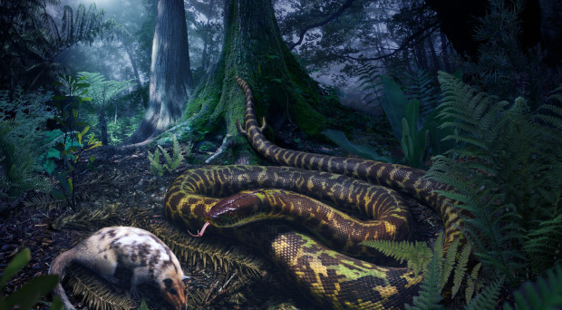 The origin of snakes: revealing the ecology, behavior, and evolutionary history of early snakes using genomics, phenomics, and the fossil record