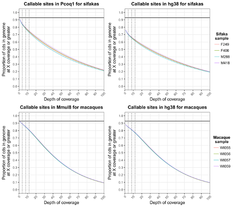 Successful exome capture and sequencing in lemurs using human baits