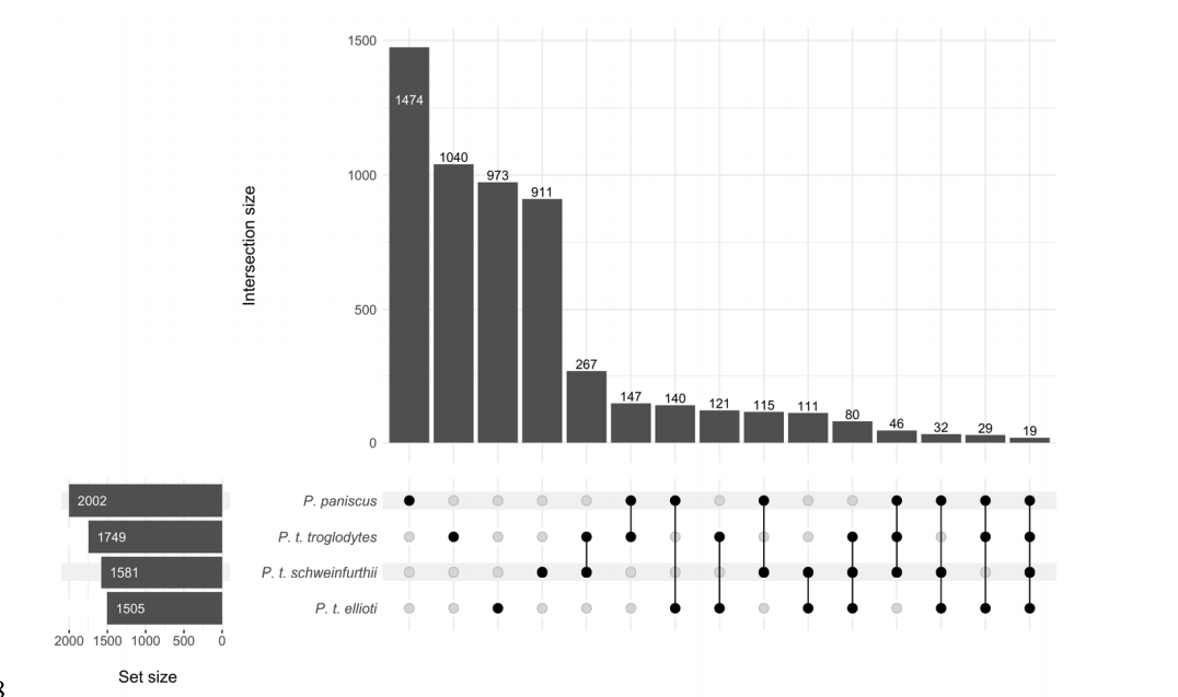 Soft sweeps predominate recent positive selection in bonobos i Pan paniscus i and chimpanzees i Pan troglodytes i