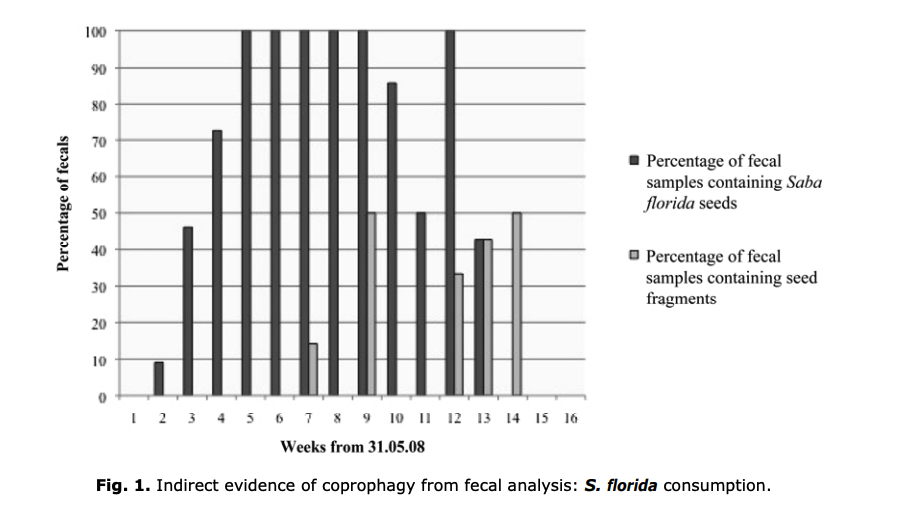 Key Figure