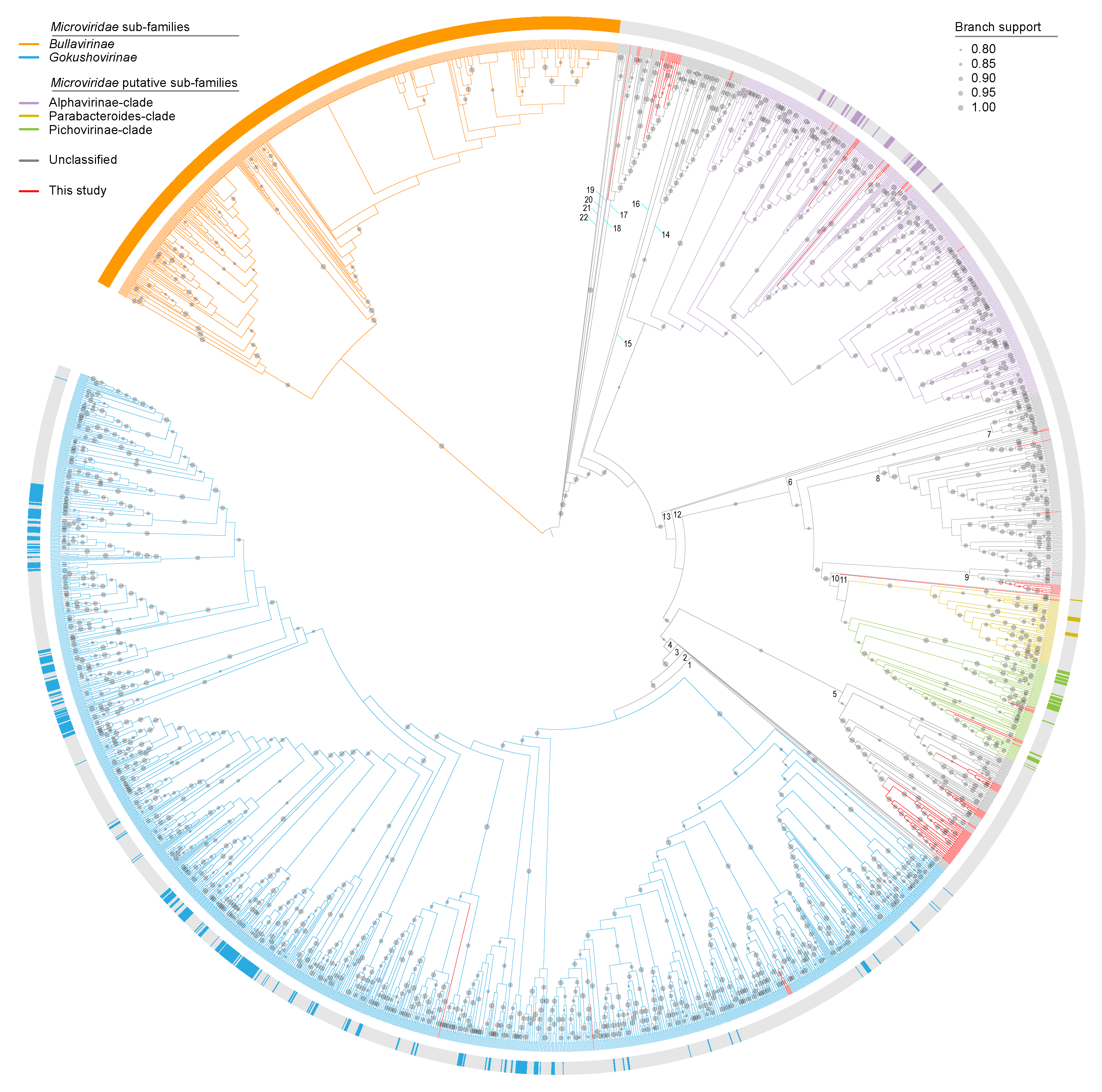 Key Figure